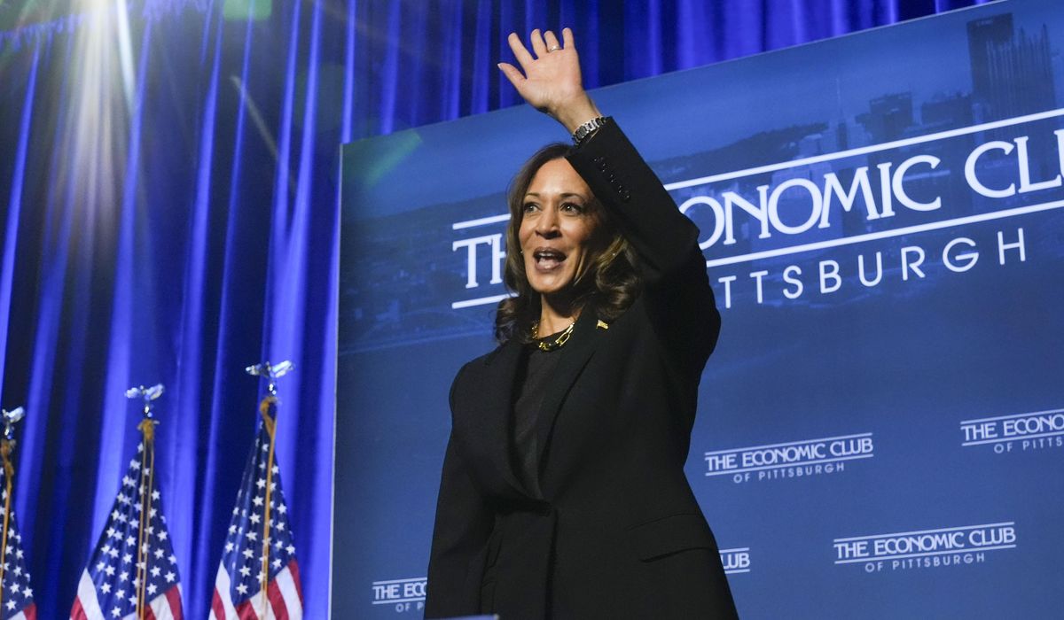 NextImg:Harris casts herself as pro-business while laying out her economic vision