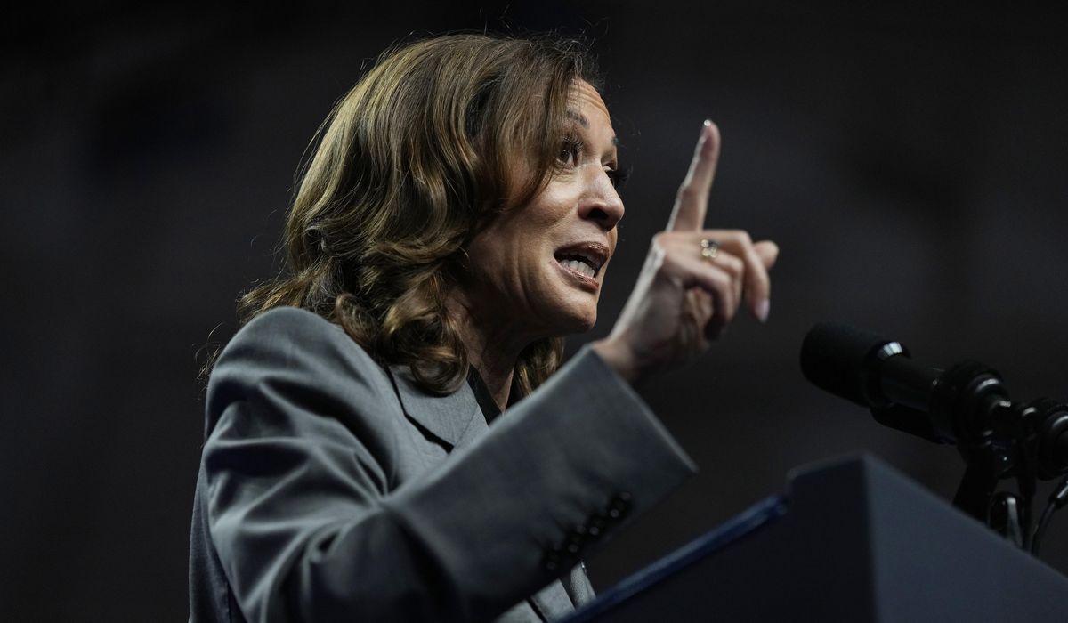 NextImg:Georgia ad campaign blasts Harris for ‘misinformation’ after deaths of women who took abortion pills