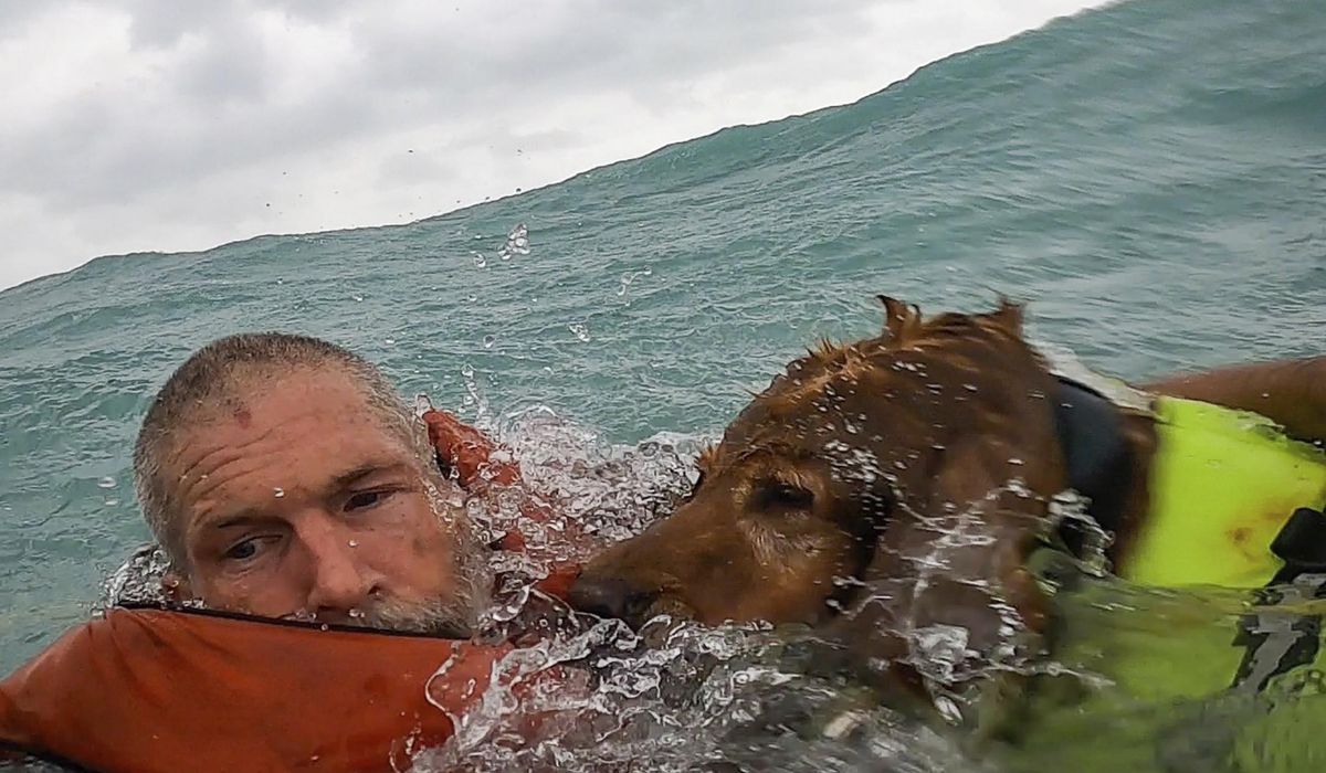 NextImg:WATCH: Coast Guard rescues man and dog from sailboat during Hurricane Helene