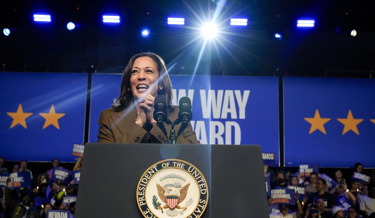 NextImg:Kamala Harris uses campaign cash windfall for TV ad blitz to drown out Donald Trump