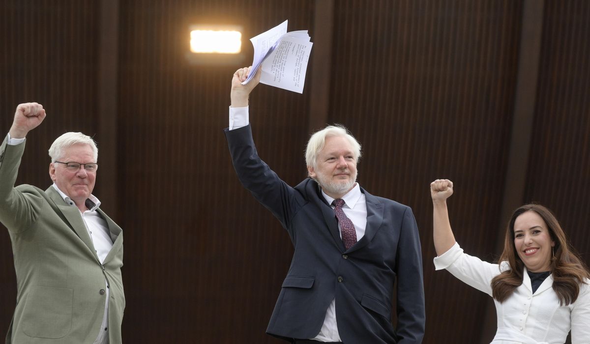 NextImg:WikiLeaks’ Julian Assange says he pleaded ‘guilty to journalism’ in order to be freed