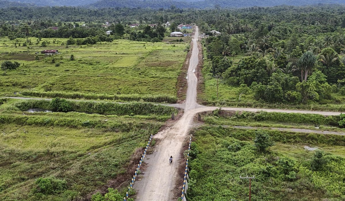NextImg:Countries, businesses and trade officials urge EU to rethink deforestation regulation