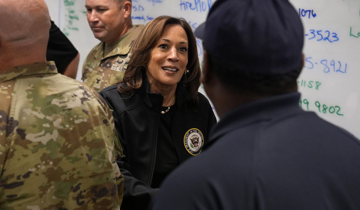 NextImg:Harris surveys Helene damage in Georgia, says government is ‘here for the long haul’