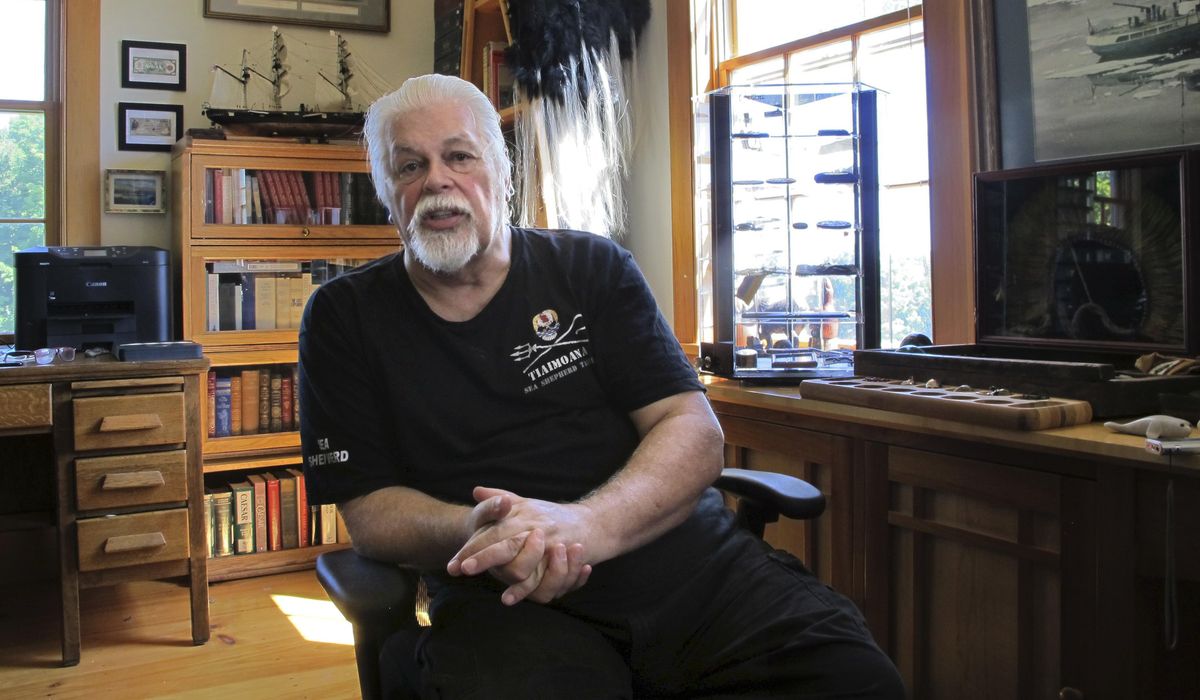 NextImg:An anti-whaling activist will stay in detention in Greenland while Japan seeks extradition