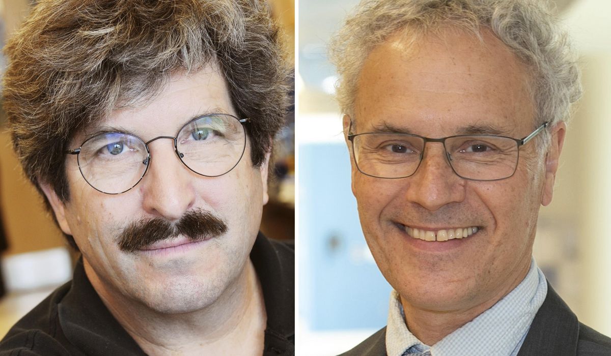 NextImg:Nobel Prize in medicine honors two Americans for discovery of microRNA