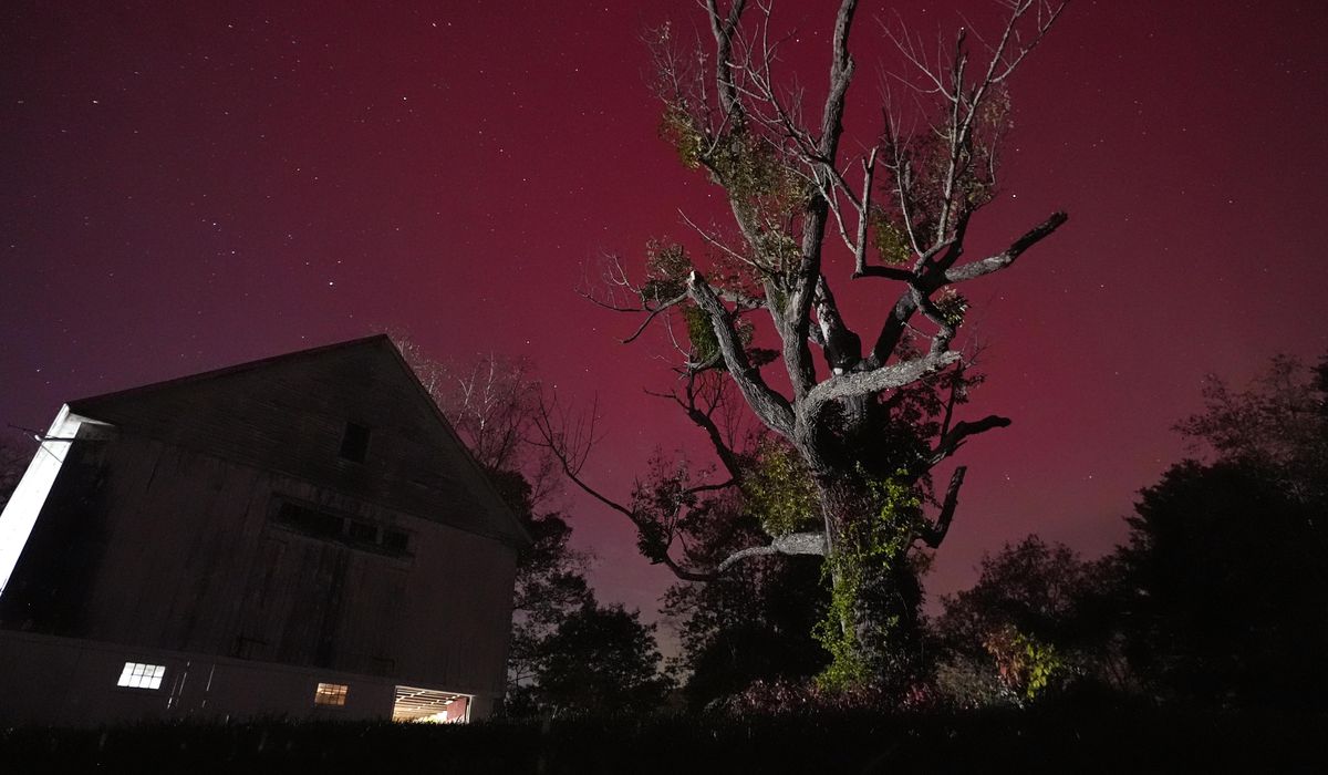 NextImg:Missed out on the northern lights? Scientists expect more solar storms to produce auroras
