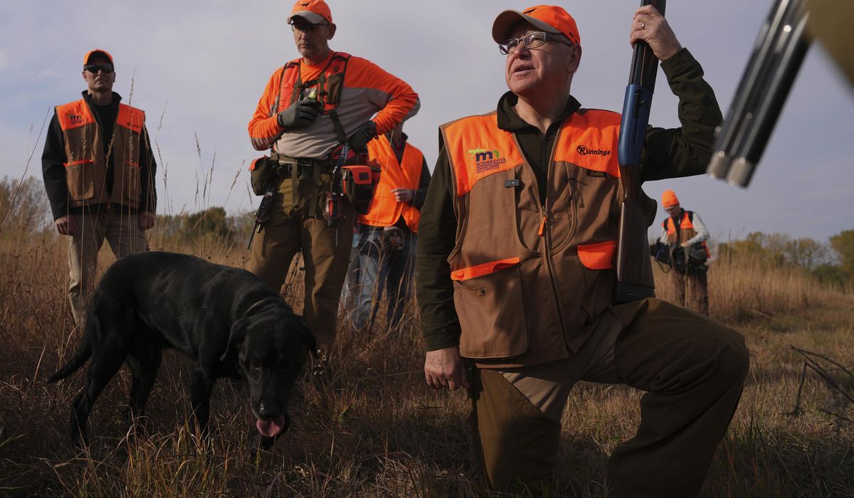 NextImg:Walz tramps through tall grass at Minnesota’s pheasant hunting season opener but bags no birds