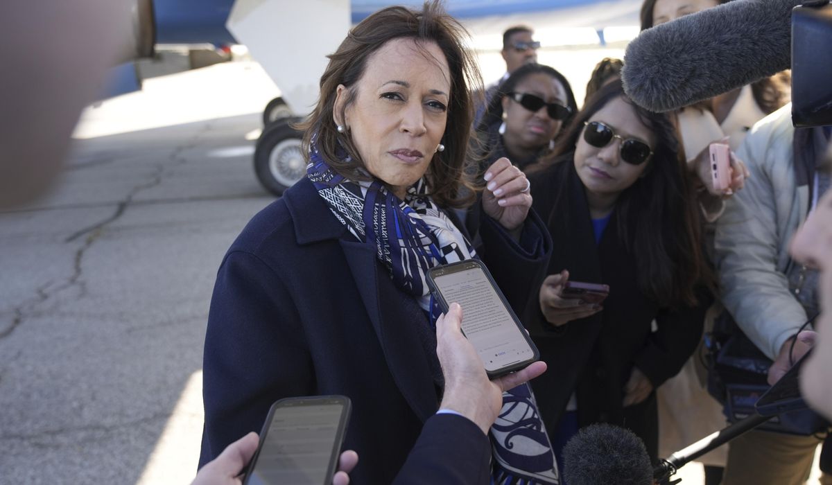 NextImg:Legal experts shred Harris’ offer of $20 billion in ‘forgivable’ loans for Black entrepreneurs