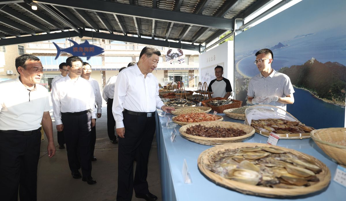 NextImg:Admiral: China’s war games practiced for a military blockade of Taiwan or an invasion