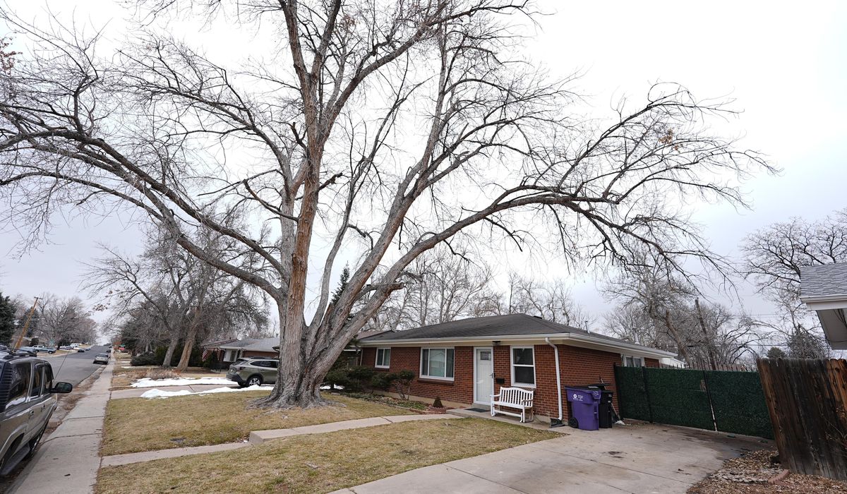 NextImg:Arraignment for funeral home owner accused of leaving body in hearse delayed again