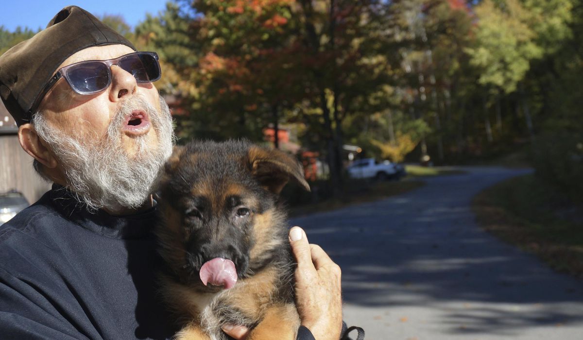NextImg:Learning about God from dogs, Orthodox monks breed and train canines in upstate New York monastery