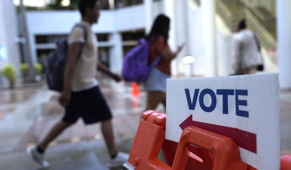NextImg:Illegal immigrant pleads guilty to voting, having gun