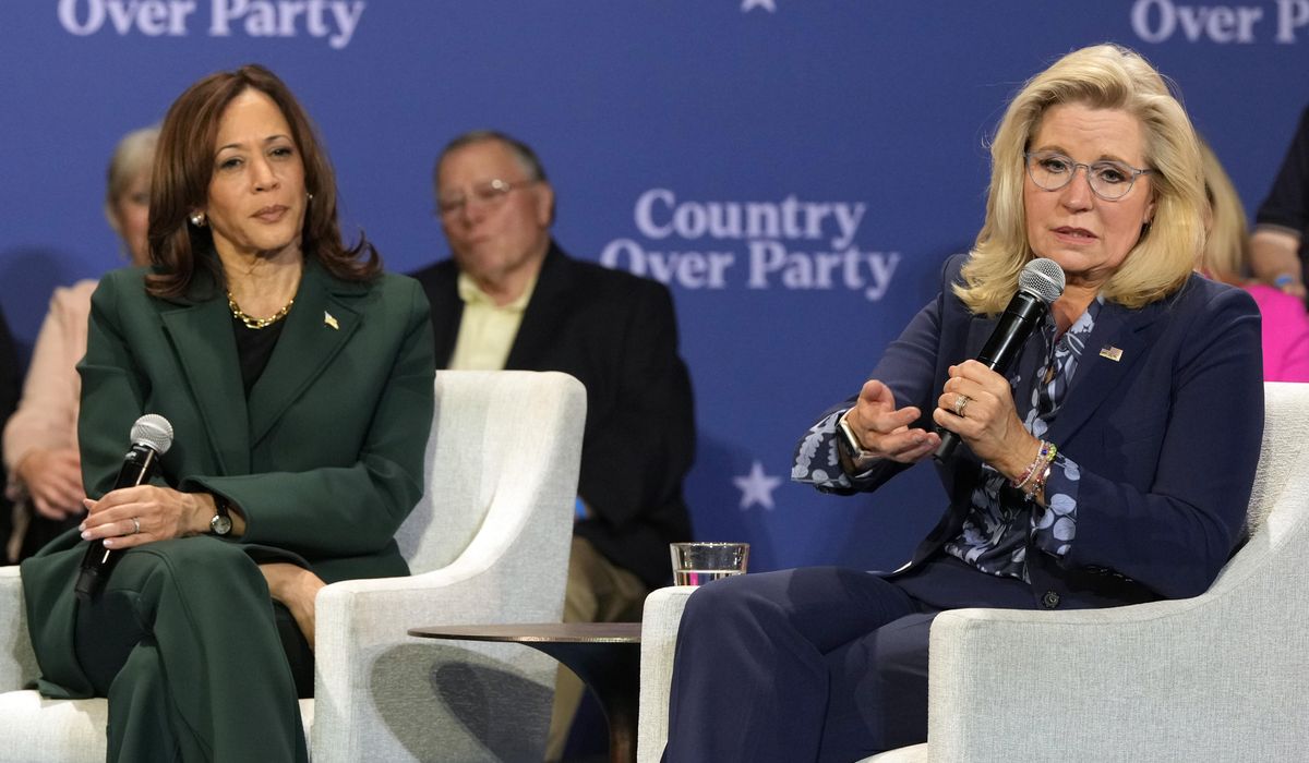 NextImg:Trump says Liz Cheney’s involvement was ‘big mistake’ for Democrats, Harris campaign