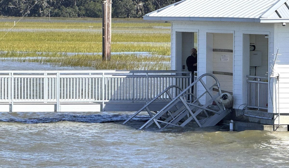 NextImg:An engineering firm will investigate Georgia’s deadly dock collapse
