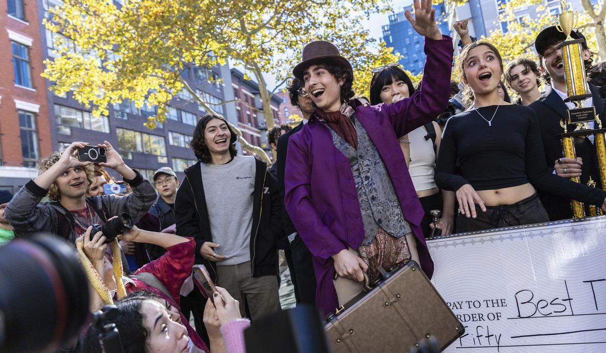 NextImg:Timothee Chalamet crashes his own look-alike contest after police shut down crowded event