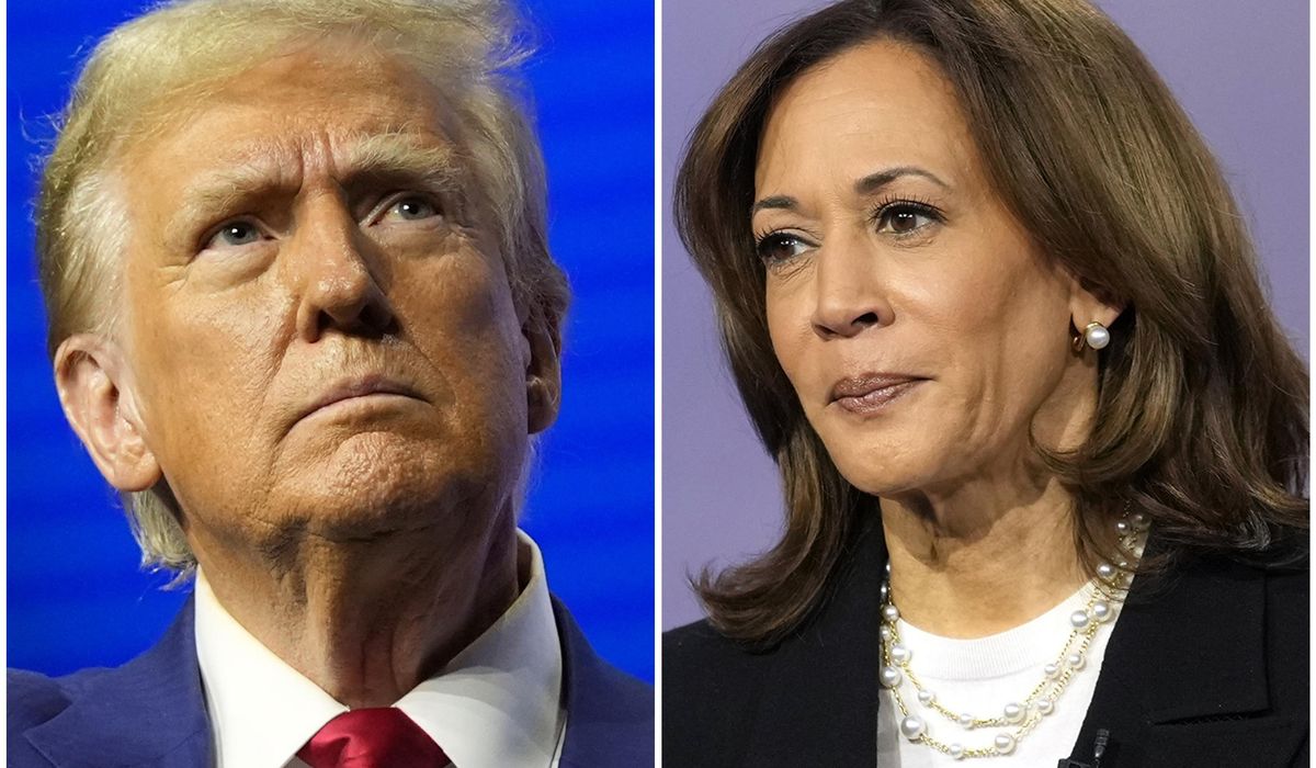 NextImg:Harris and Trump offer worlds-apart contrasts on top issues in presidential race