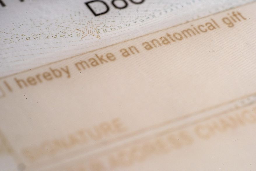 The organ donor entry on the back of a driver license is photographed in New York on Friday, Oct. 25, 2024. (AP Photo/Patrick Sison)