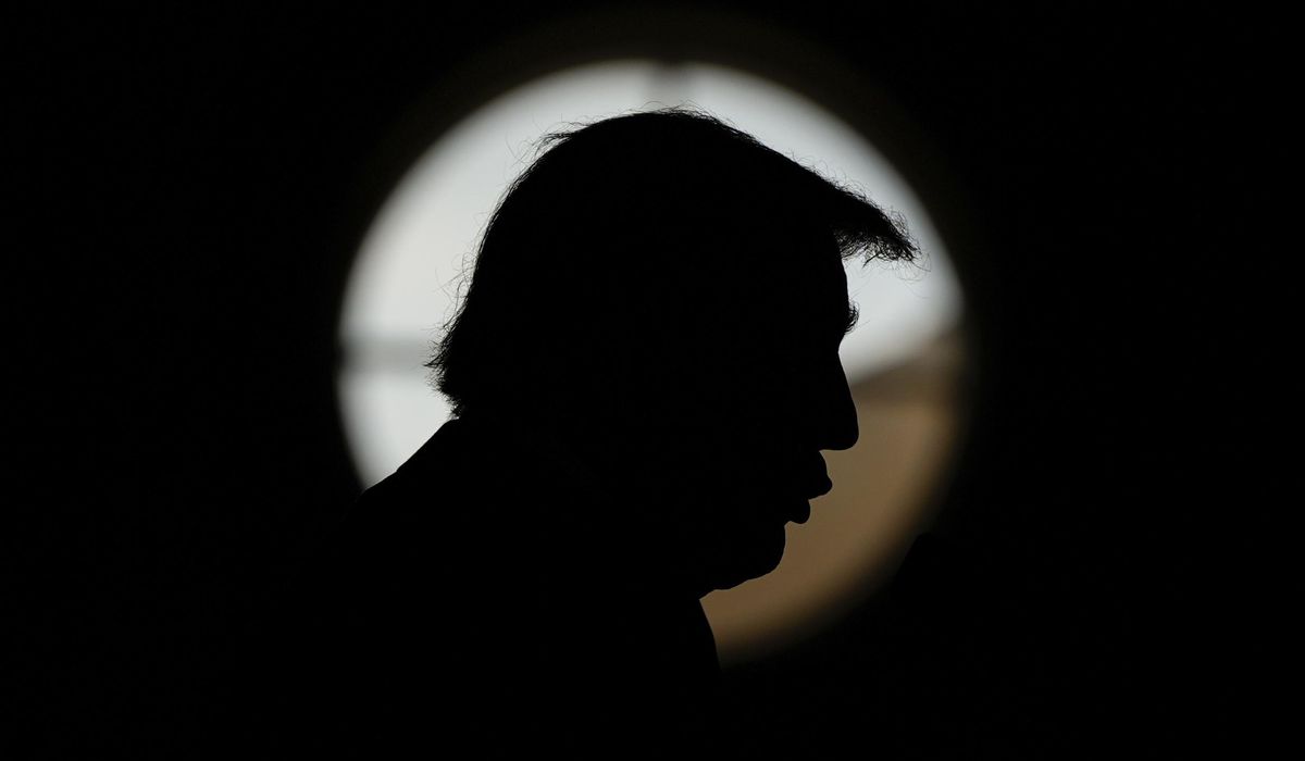 NextImg:Michigan residents erect their own ‘Trump Tower’ despite government fines