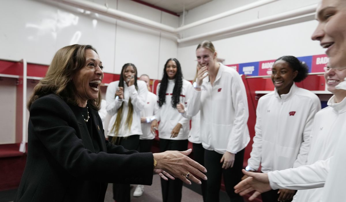 NextImg:Harris to sweep through seven swing states en route to Election Day