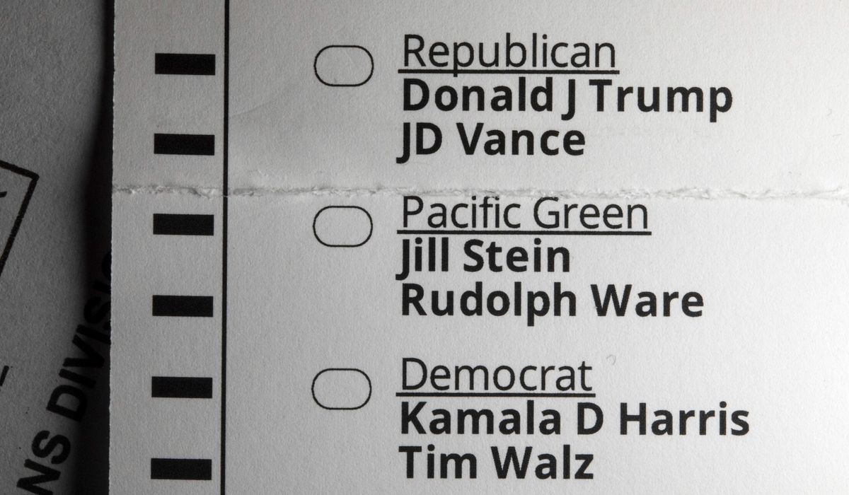 NextImg:Harris’ campaign says voting is ‘safe and secure’ amid Trump’s claims of voter fraud
