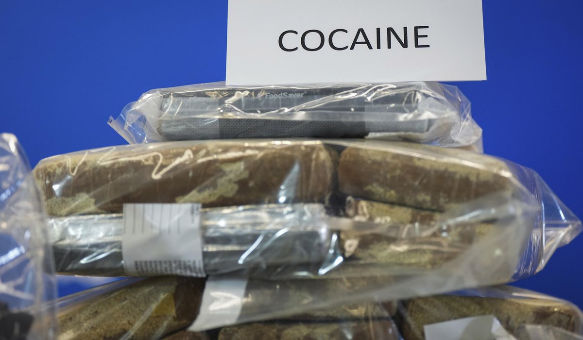 NextImg:Marylander convicted of smuggling cocaine into Dulles via cakes