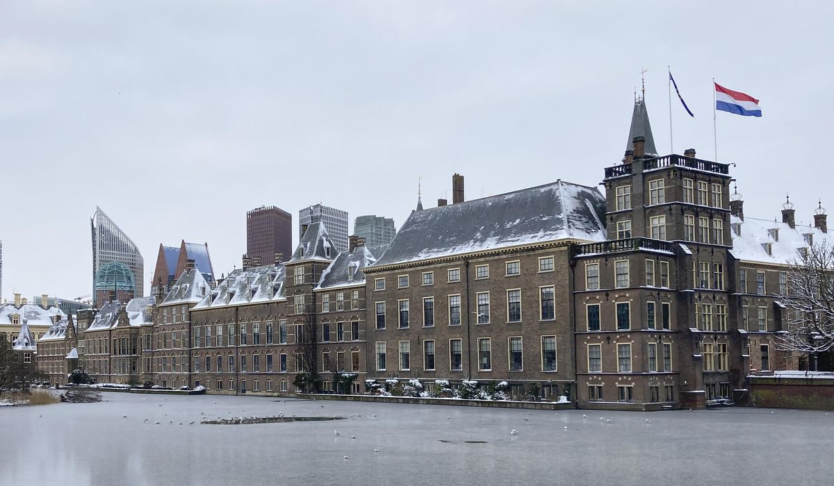 NextImg:Dutch junior finance minister quits after questions over his personal investments