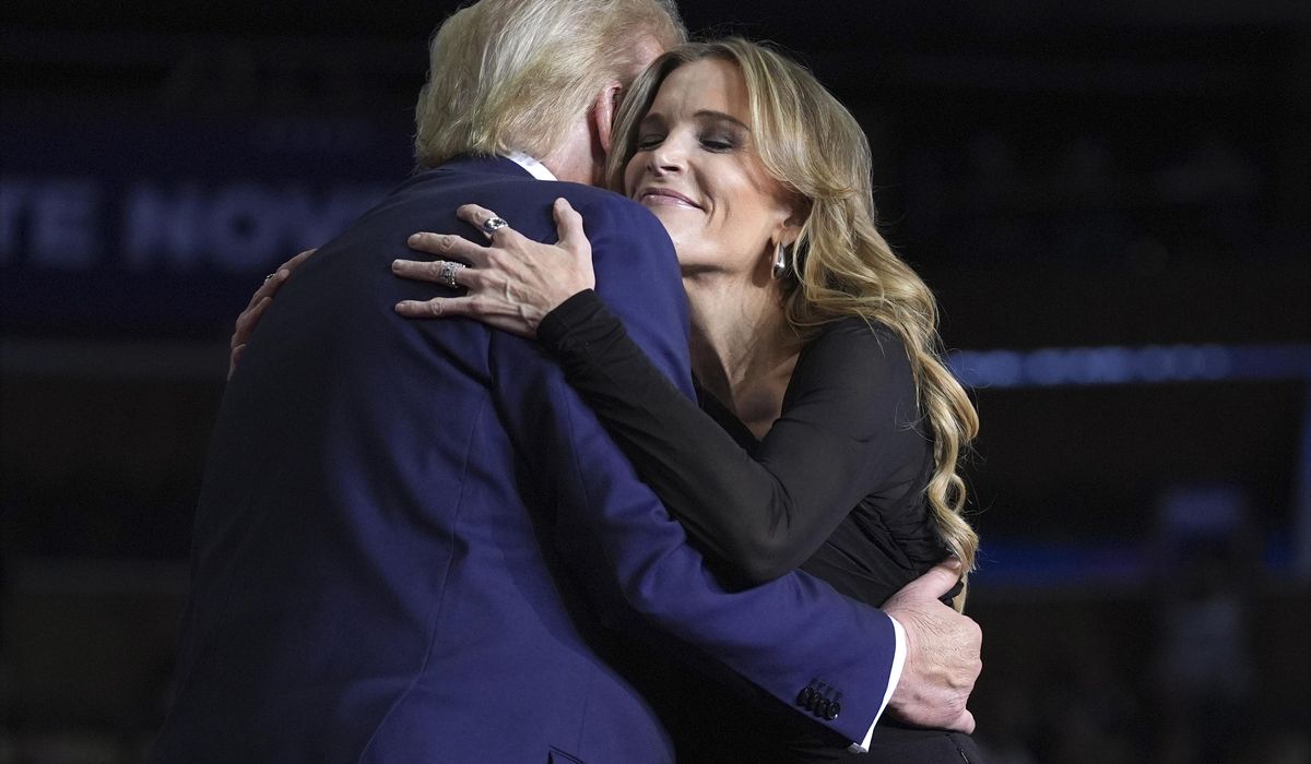 NextImg:Trump called Megyn Kelly ‘nasty’ 9 years ago. She just helped deliver his closing message