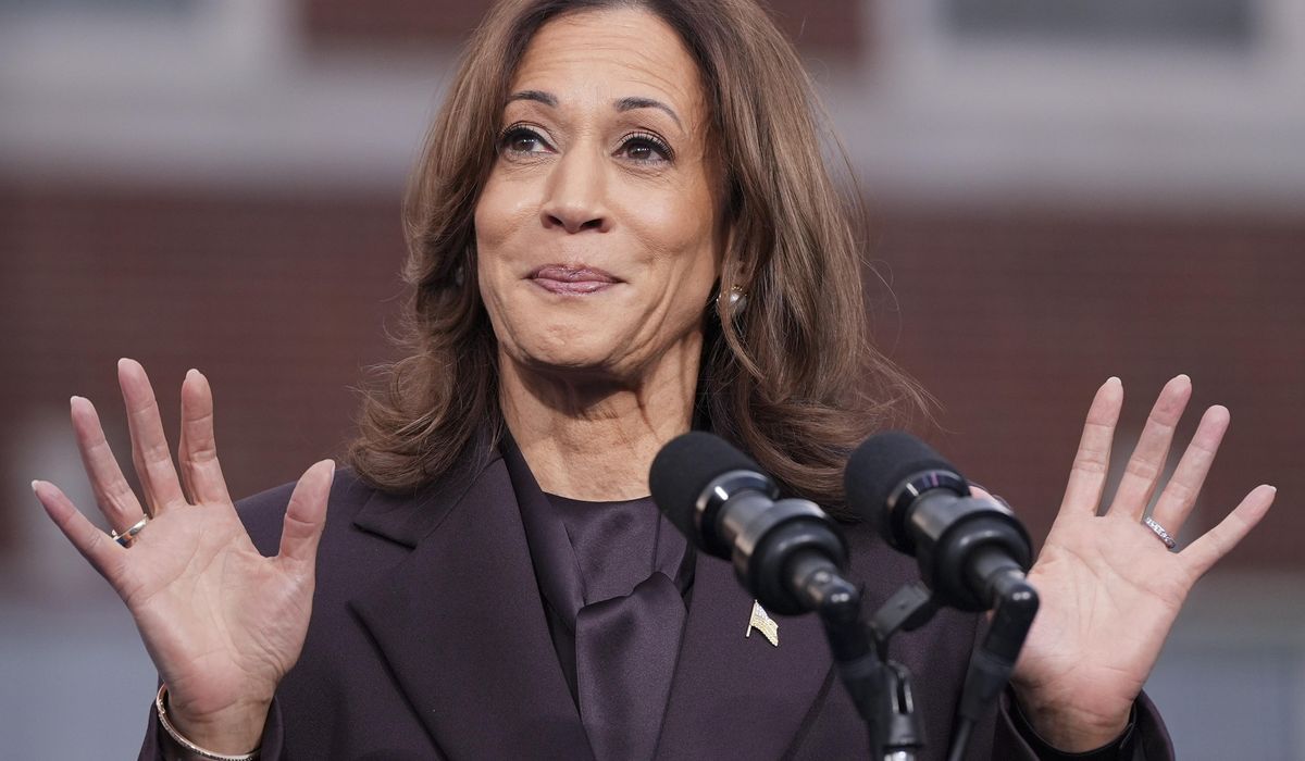 NextImg:Celebrities, billionaires and ignoring inflation: What went wrong for Harris campaign
