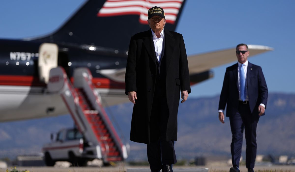 NextImg:LISTEN: What does Trump’s win mean for NATO, Ukraine, and Russia?