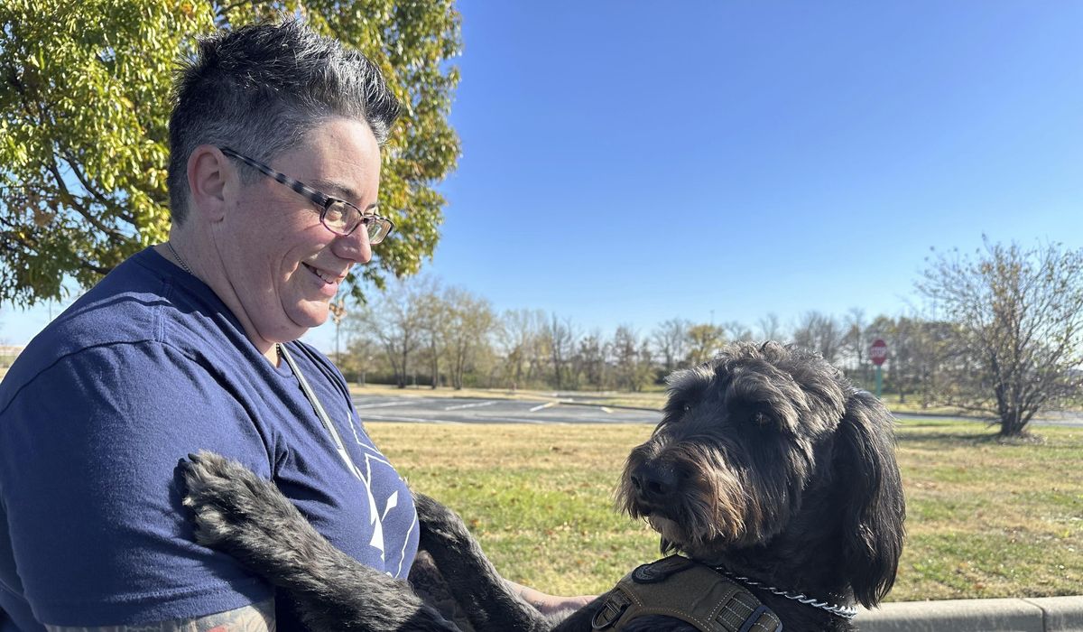 NextImg:Veterans with PTSD making progress thanks to service dog program: ‘I got my life back’