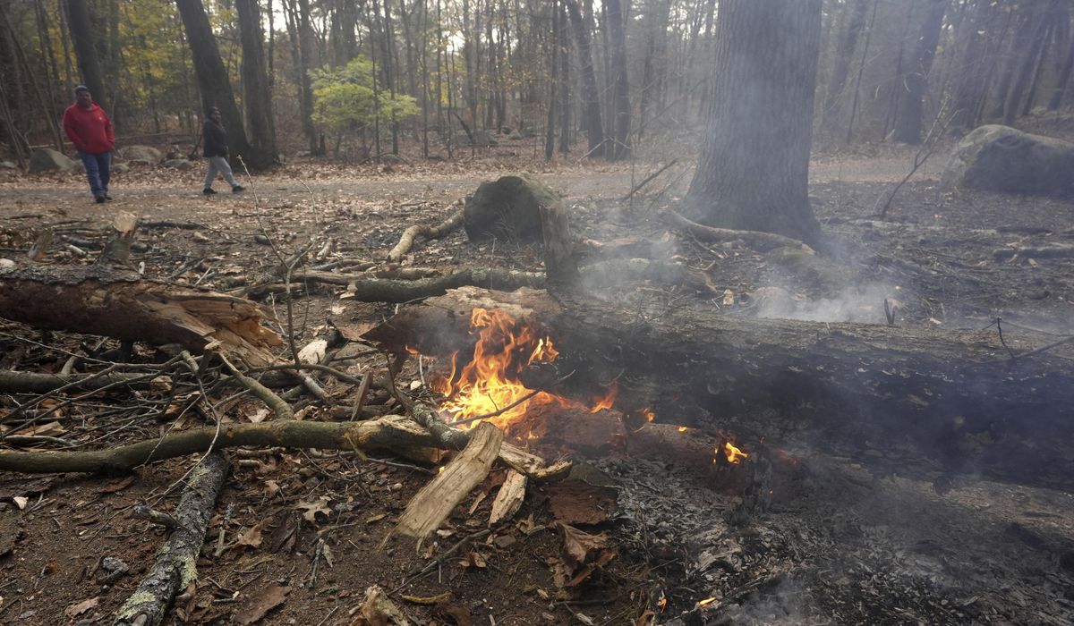 NextImg:Crews on both U.S. coasts battle wildfires, 1 dead; Veterans Day ceremony postponed