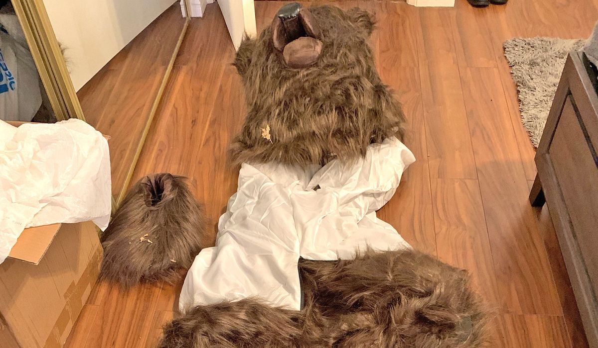 NextImg:Four arrested in California for using bear costume to fake break-ins on luxury cars