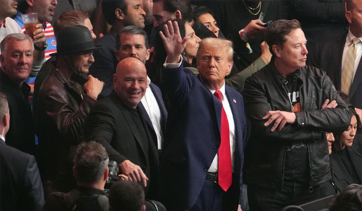 NextImg:President-elect Trump receives raucous ovation during UFC 309 at Madison Square Garden