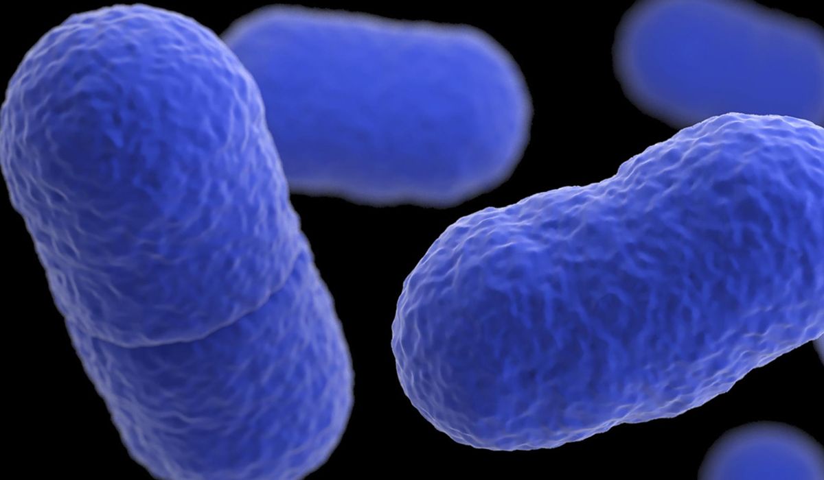 NextImg:Listeria outbreak tied to Yu Shang Food leaves California infant dead and 10 people sick