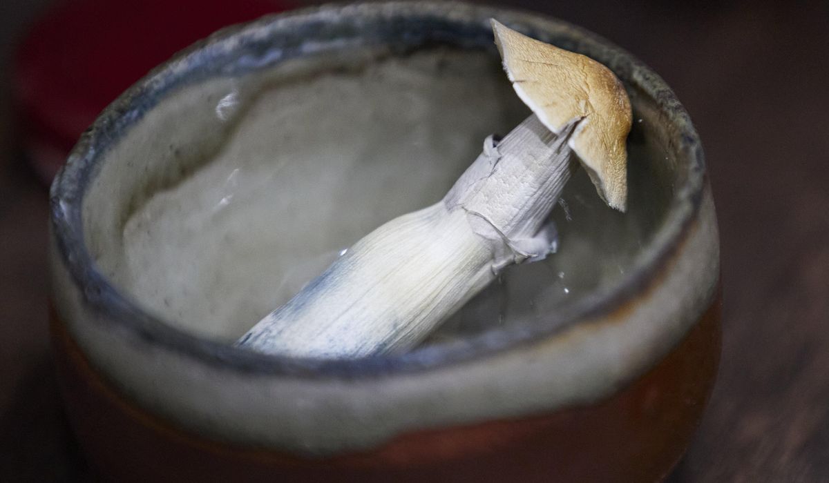 NextImg:Oregon cities are voting to ban psychedelic mushroom compound psilocybin