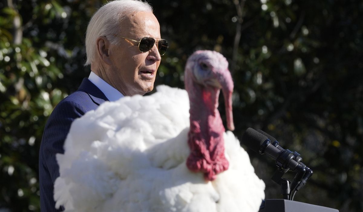 NextImg:Biden pardons turkeys Peach and Blossom in White House Thanksgiving tradition