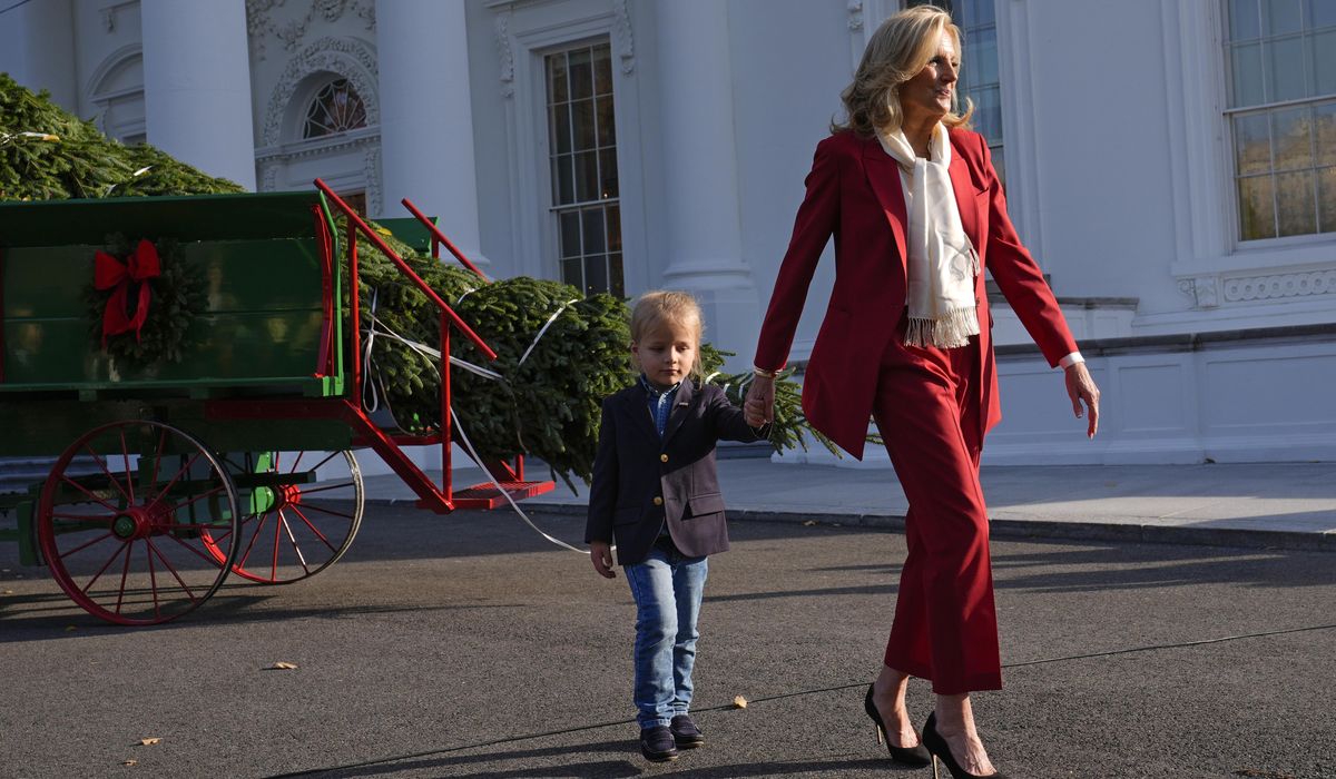 NextImg:Turkey pardons, Christmas tree and ‘friendsgiving’ launch final Biden White House holiday season