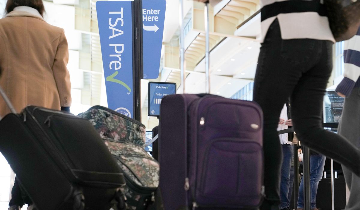 NextImg:‘Busiest Thanksgiving ever’: How the TSA plans to handle record air travel