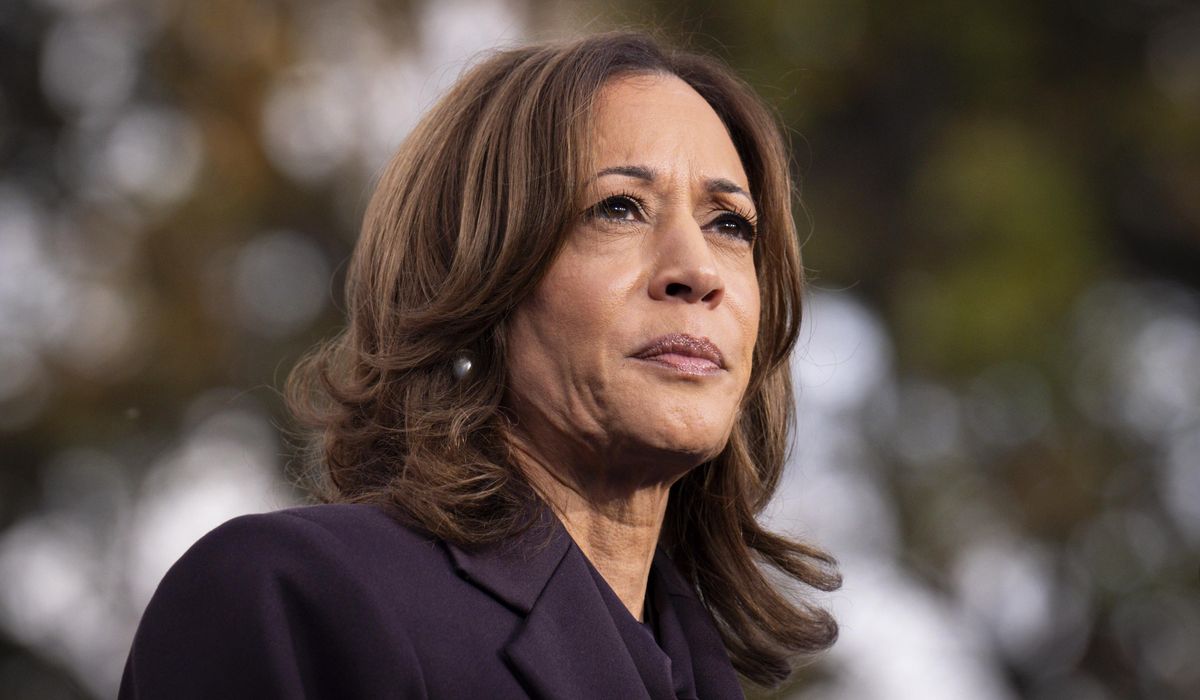 NextImg:Kamala Harris thanks grassroots supporters after ‘heavy’ election loss
