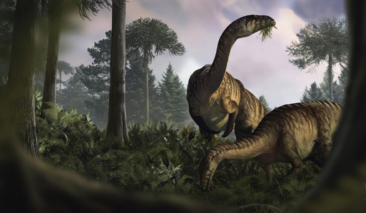 NextImg:Fossilized dinosaur feces and vomit help scientists reconstruct the creatures’ rise