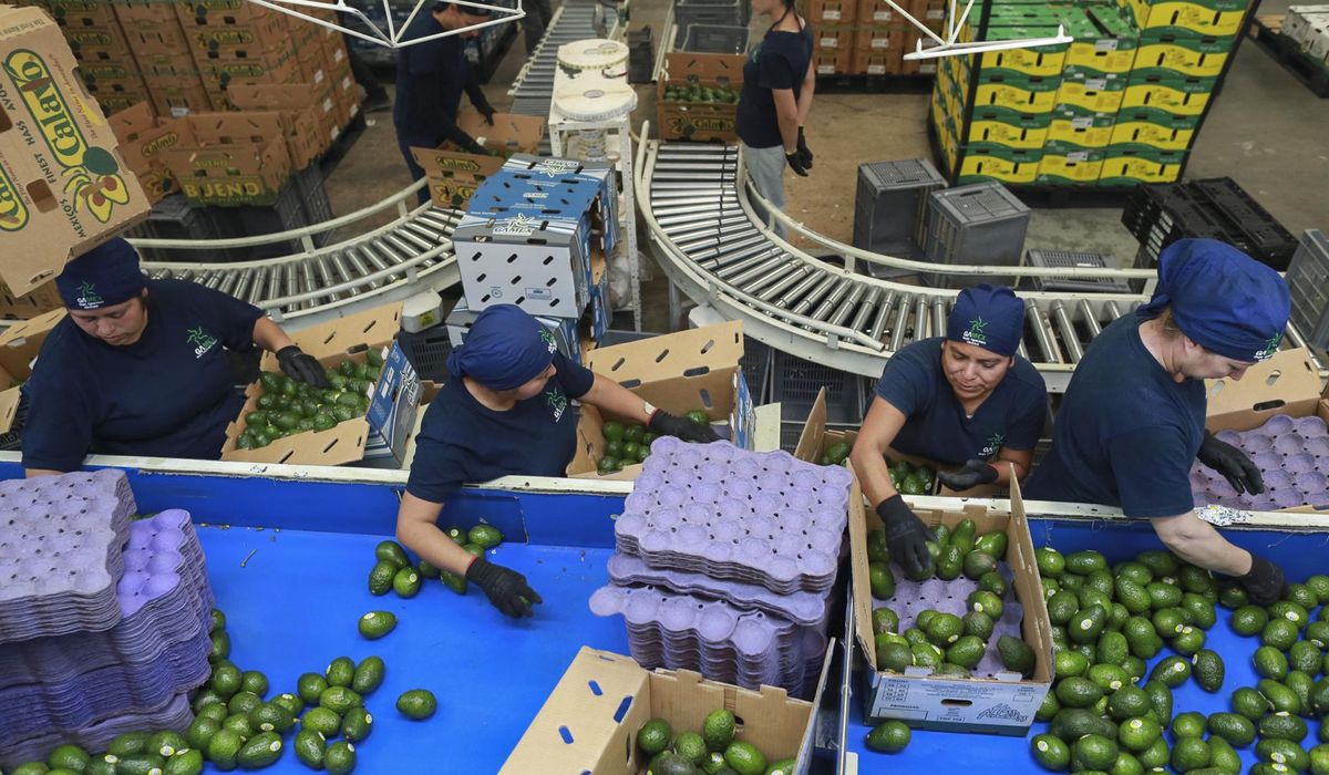 NextImg:Small business owners brace for Trump’s proposed tariffs