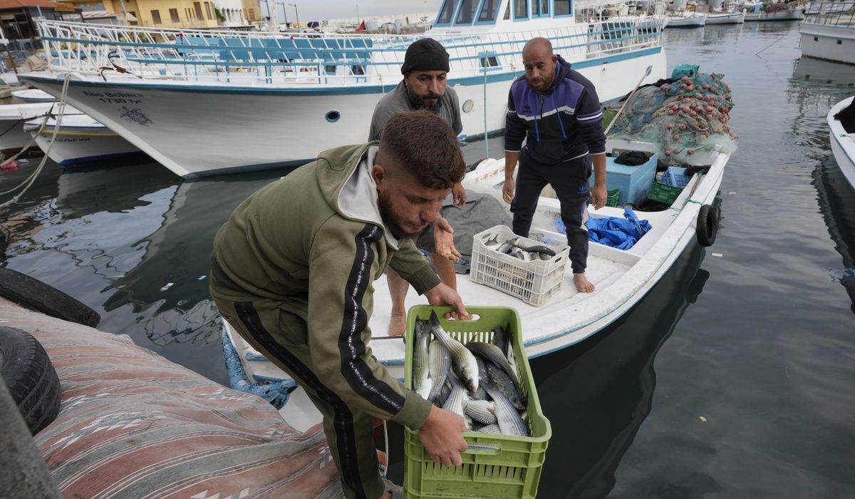 NextImg:Lebanese fishermen hope cease-fire with Israel means normal life returning