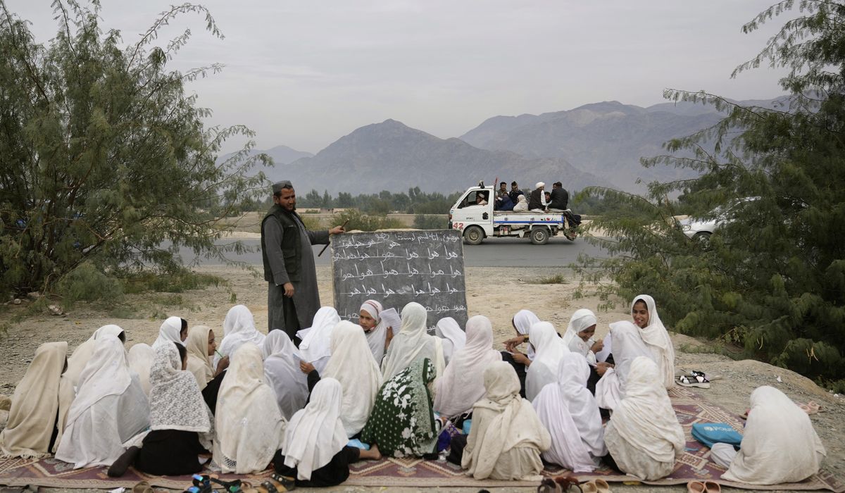 NextImg:EU condemns reported Taliban move to suspend medical education for women and girls