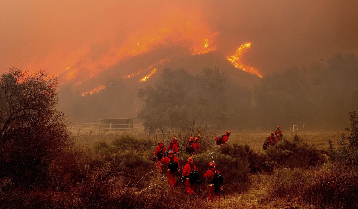 NextImg:Santa Ana winds return means increased fire risk, possible power shut-offs for Southern California