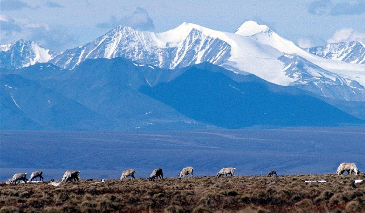 NextImg:Trump begins rescinding Biden’s restrictions on gas and oil drilling in Alaska