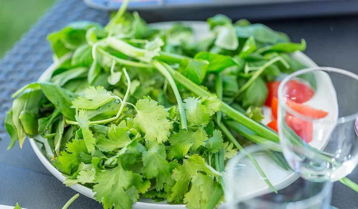 NextImg:Cilantro, oysters, durian and more: 7 polarizing ingredients that stir controversy