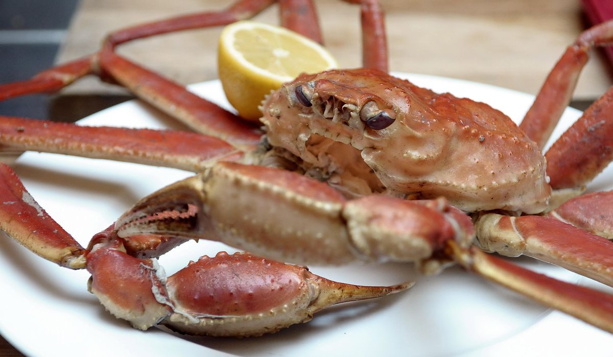 NextImg:Some in seafood industry see Trump as fishermen’s friend, but tariffs could make for pricier fish