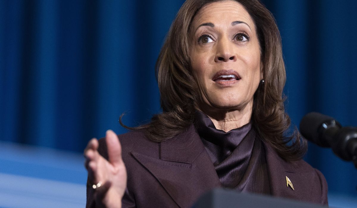 NextImg:Kamala Harris calls for renewed focus on gun violence after Wisconsin school shooting
