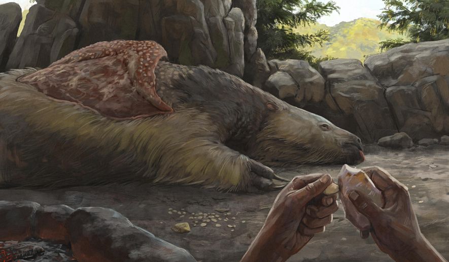 This illustration provided by researchers depicts a person carving an osteoderm from a giant sloth in Brazil about 25,000 to 27,000 years ago. (Júlia d'Oliveira via AP)