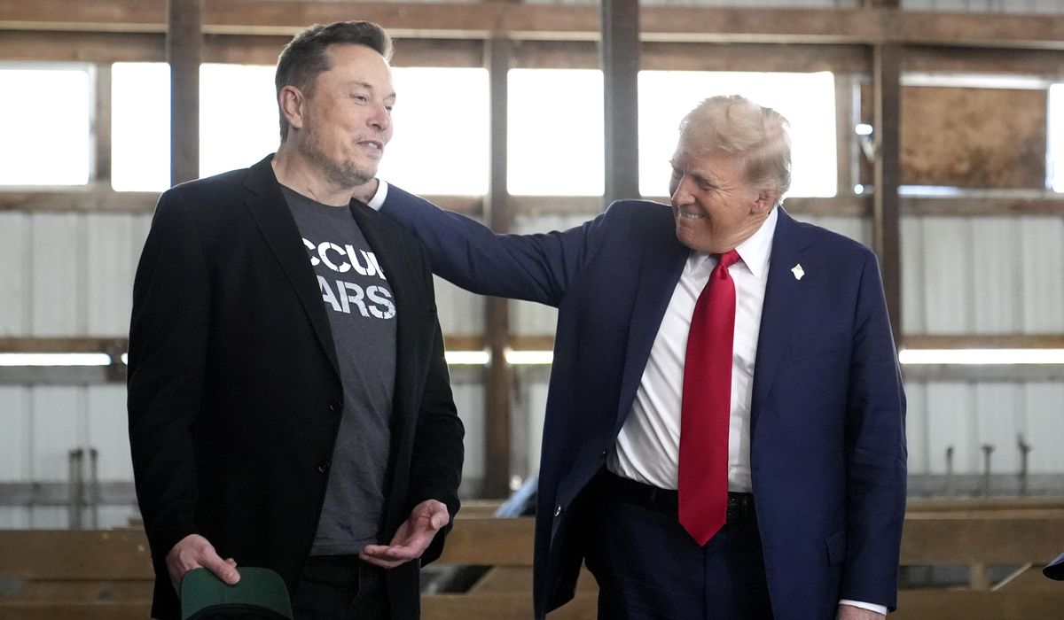 NextImg:House Democrat accuses Musk of derailing spending deal over restrictions on China